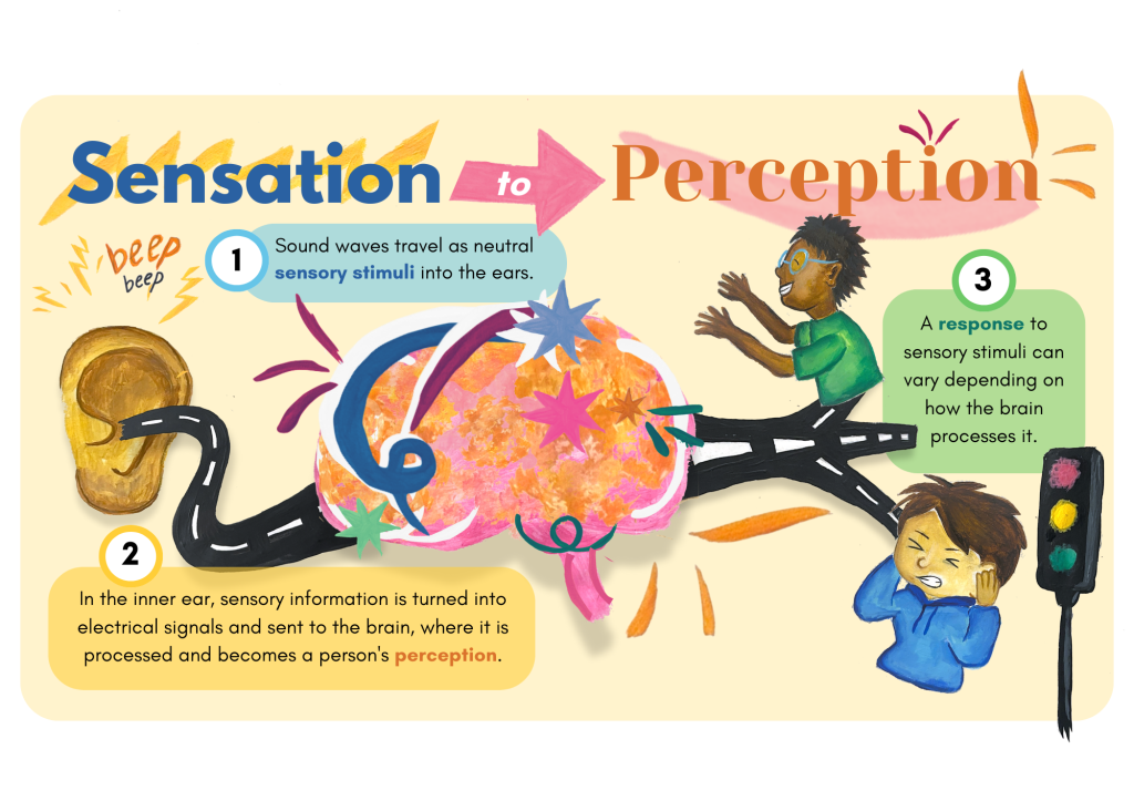 Inside the Autistic Mind: Understanding a Spectrum of Sensory Differences